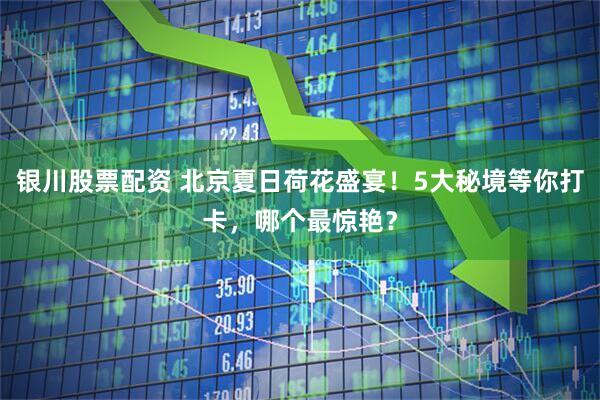 银川股票配资 北京夏日荷花盛宴！5大秘境等你打卡，哪个最惊艳？