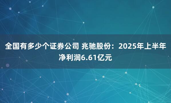 全国有多少个证券公司 兆驰股份：2025年上半年净利润6.61亿元