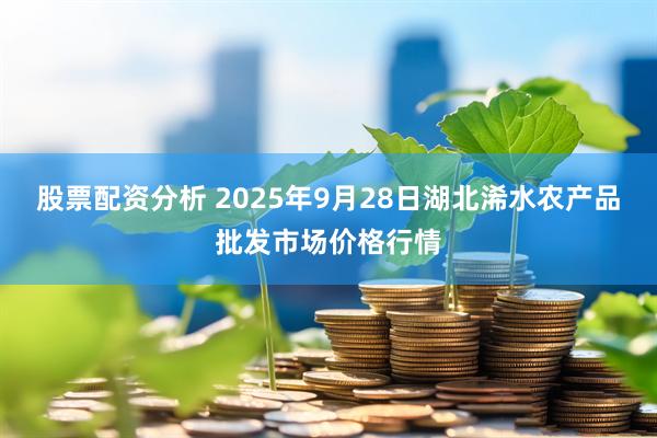 股票配资分析 2025年9月28日湖北浠水农产品批发市场价格行情