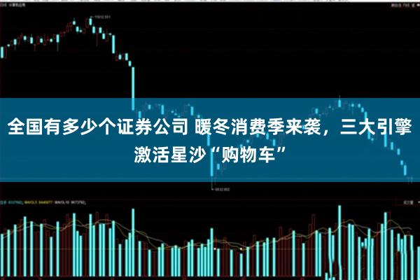 全国有多少个证券公司 暖冬消费季来袭，三大引擎激活星沙“购物车”